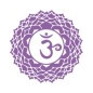 Pranalife | Chakras 1-7-6 | 50ml Pranalife | Chakras 1-7-6 | 50ml