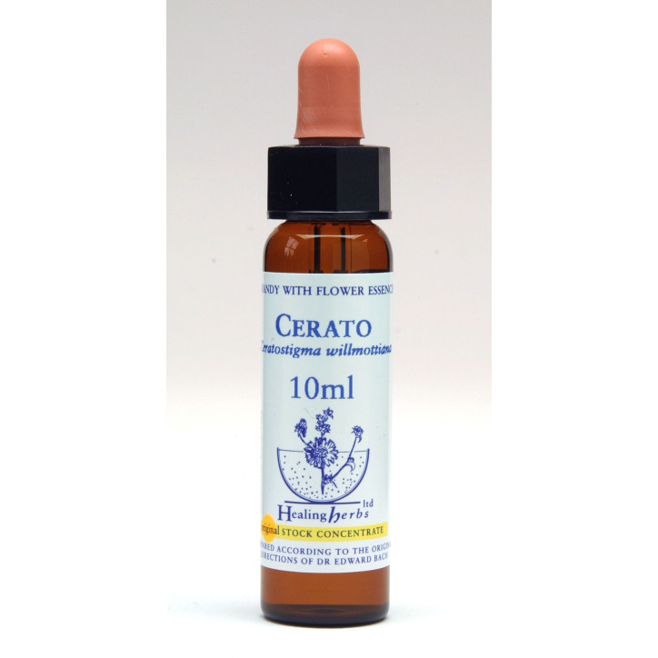 Ανθοΐαμα Cerato 10ml