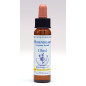Horndeam 10ml