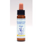 Scleranthus 10ml Scleranthus 10ml
