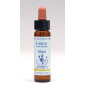 Larch 10ml Larch 10ml