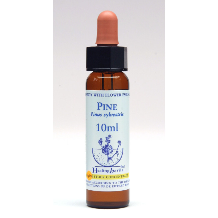 Ανθοΐαμα Pine 10ml
