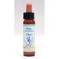 Pine 10ml Pine 10ml
