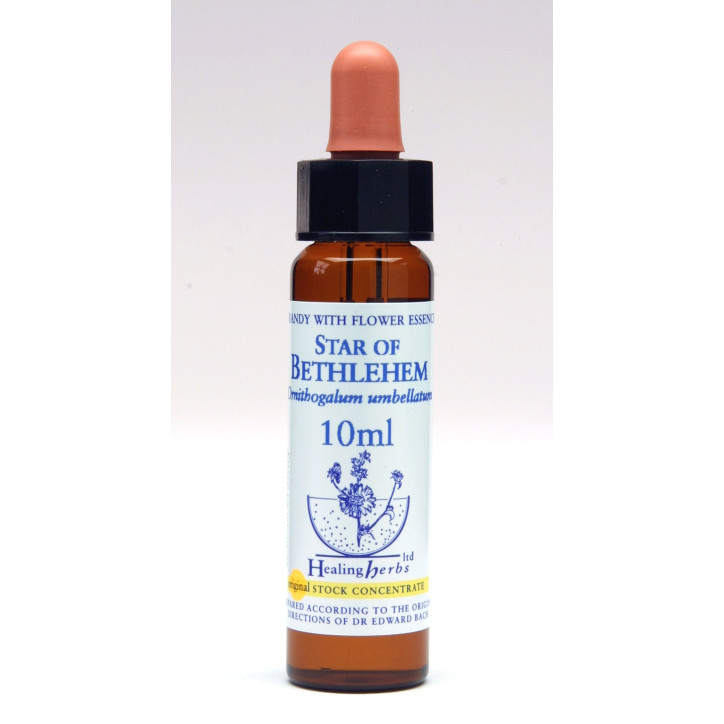Ανθοΐαμα Star of Bethlehem 10ml