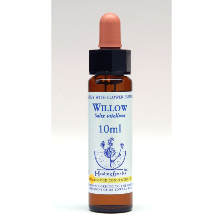Ανθοΐαμα Willow 10ml