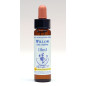 Willow 10ml