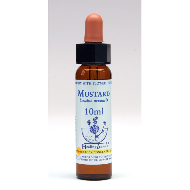 Ανθοΐαμα Mustard 10ml