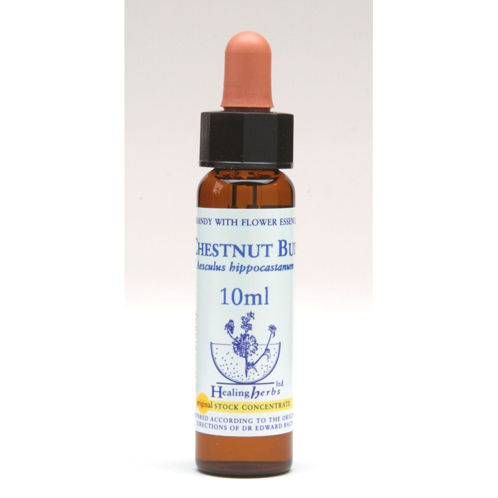 Ανθοΐαμα Chestnut Bud 10ml