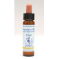 Clematis 10ml
