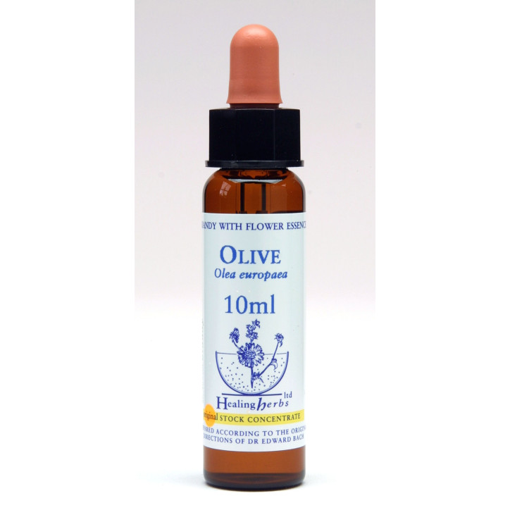 Ανθοΐαμα Olive 10ml
