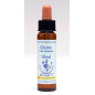 Olive 10ml Olive 10ml