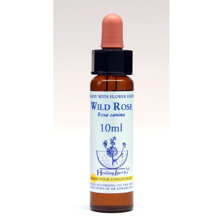 Ανθοΐαμα Wild Rose 10ml Ανθοΐαμα Wild Rose 10ml