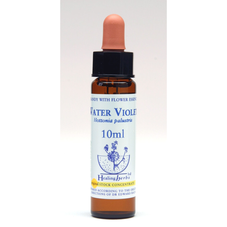 Ανθοΐαμα Water Violet 10ml Ανθοΐαμα Water Violet 10ml