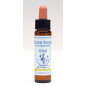 Water Violet 10ml Water Violet 10ml