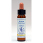 Aspen 10ml Aspen 10ml