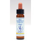 Red Chestnut 10ml Red Chestnut 10ml