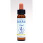 Rock Rose 10ml Rock Rose 10ml