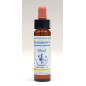 Agrimony 10ml Agrimony 10ml