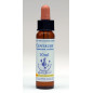 Centaury 10ml Centaury 10ml