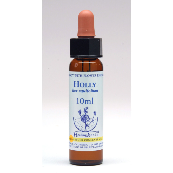 Ανθοΐαμα Holly 10ml