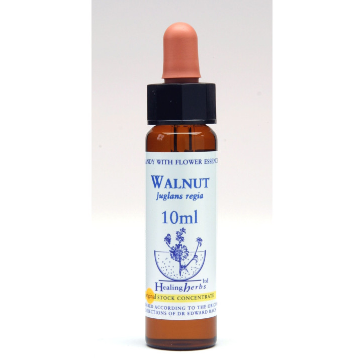 Ανθοΐαμα Walnut 10ml