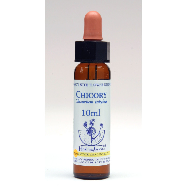 Ανθοΐαμα Chicory 10ml