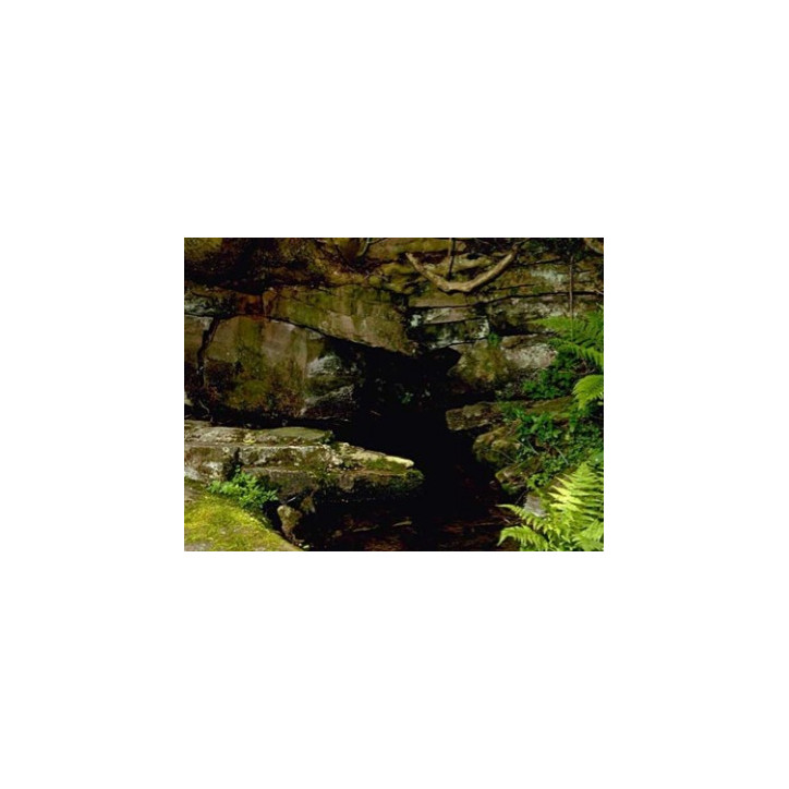Ανθοΐαμα Rock Water 10ml