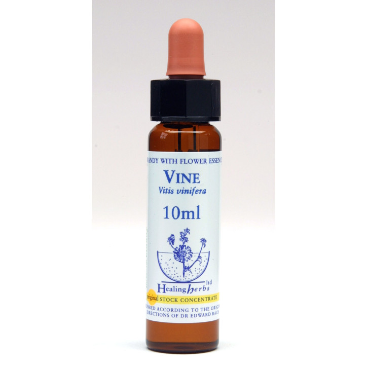 Ανθοΐαμα Vine 10ml Ανθοΐαμα Vine 10ml