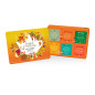 Συλλογή με 36 φακελάκια | Super Goodness Collection Gift Tin 36 Tea Bag