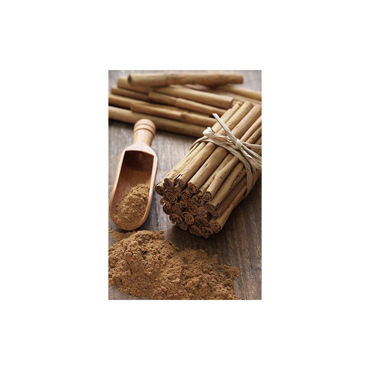 Βιολογικό Αιθέριο Έλαιο Κανέλας | Cinnamon Essential Oil Org. | 10ml