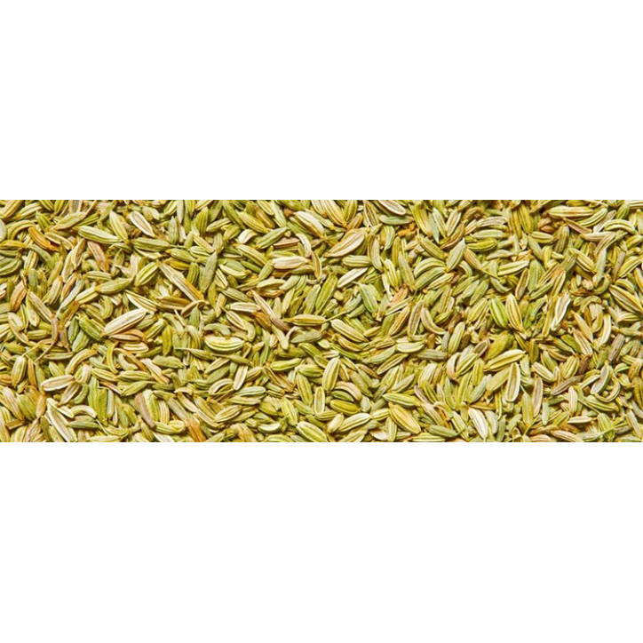 Βιολογικό Αιθέριο Έλαιο Μάραθου | Fennel Essential Oil Org. | 10ml Βιολογικό Αιθέριο Έλαιο Μάραθου | Fennel Essential Oil Org. | 10ml