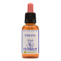 Cerato 30ml