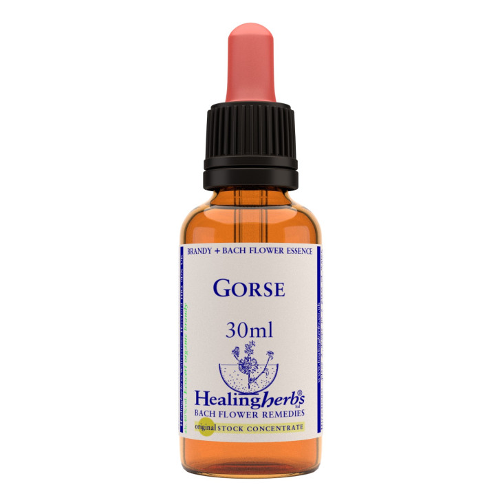 Ανθοΐαμα Gorse 30ml