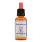 Horndeam 30ml