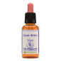 Grab Apple 30ml