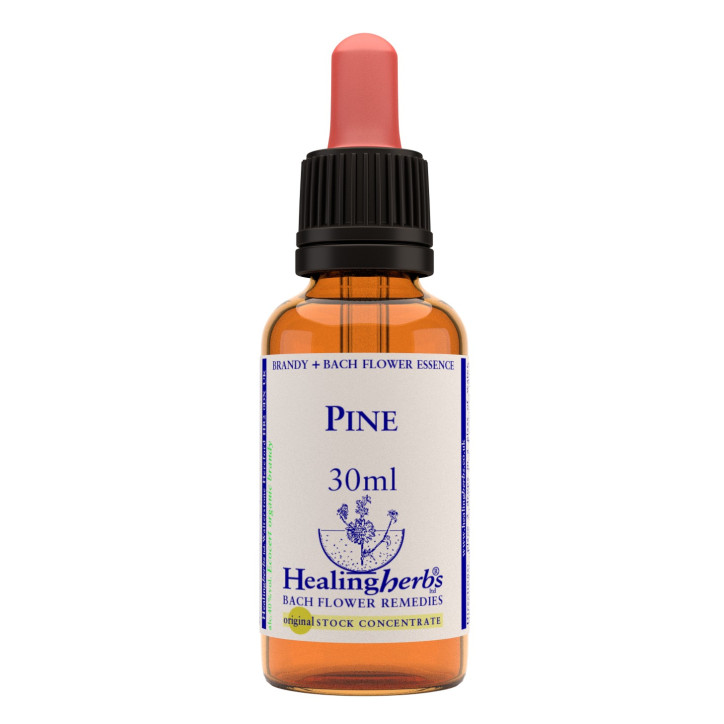 Ανθοΐαμα Pine 30ml