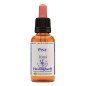 Pine 30ml