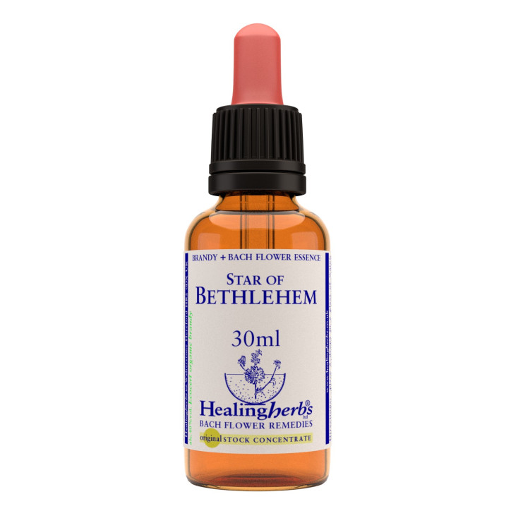 Ανθοΐαμα Star of Bethlehem 30ml