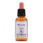 Willow 30ml Willow 30ml