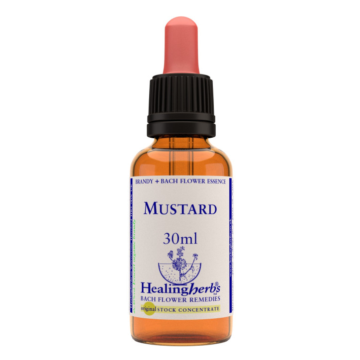 Ανθοΐαμα Mustard 30ml Ανθοΐαμα Mustard 30ml