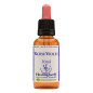 Water Violet 30ml Water Violet 30ml