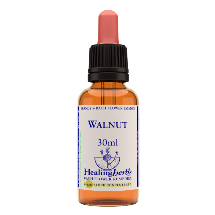 Ανθοΐαμα Walnut 30ml Ανθοΐαμα Walnut 30ml