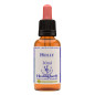 Holly 30ml