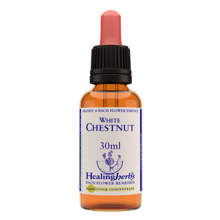 Ανθοΐαμα White Chestnut 30ml Ανθοΐαμα White Chestnut 30ml