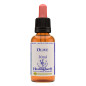 Olive 30ml