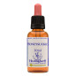 Honeysuckle 30ml Honeysuckle 30ml