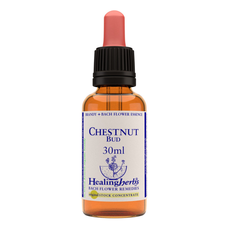 Ανθοΐαμα Chestnut Bud 30ml Ανθοΐαμα Chestnut Bud 30ml