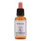 Vervain 30ml Vervain 30ml