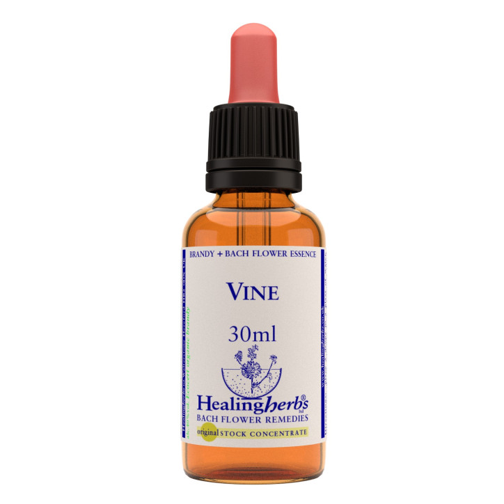 Ανθοΐαμα Vine 30ml Ανθοΐαμα Vine 30ml