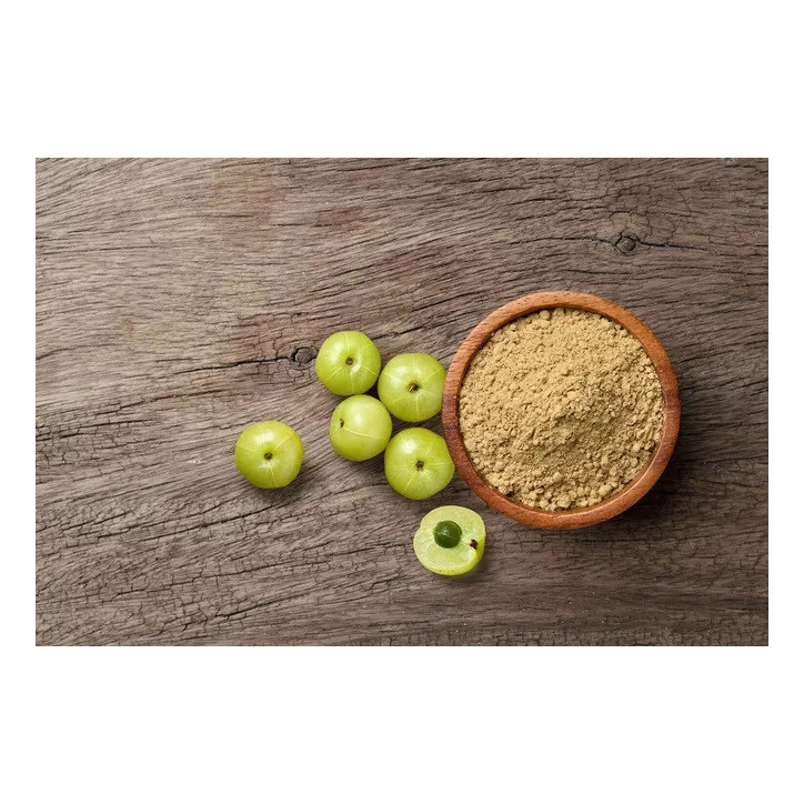 Organic Amla Powder|Βιολογικό Amla σε Σκόνη|110gr